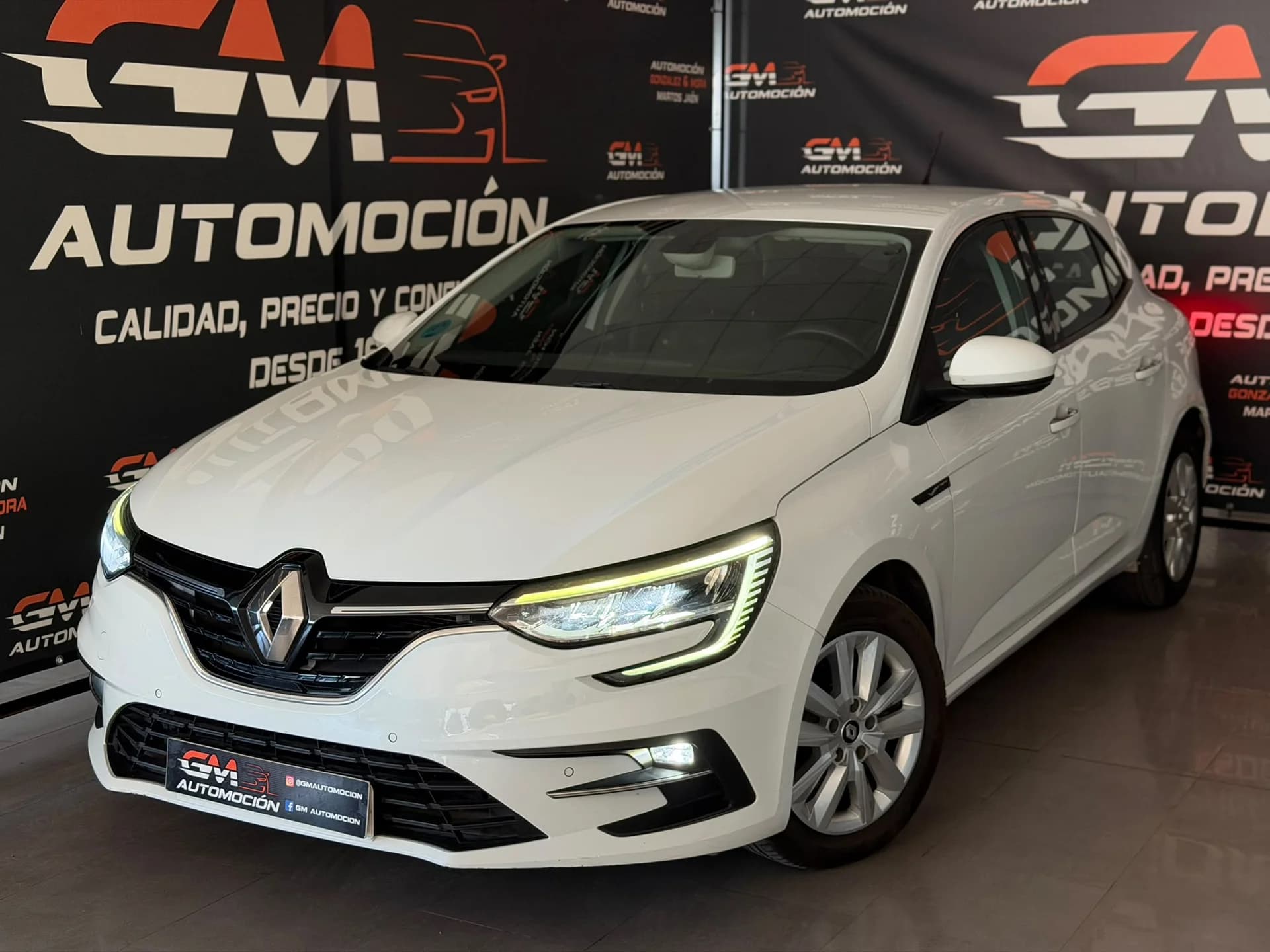 RENAULT MEGANE — foto 1 de 20