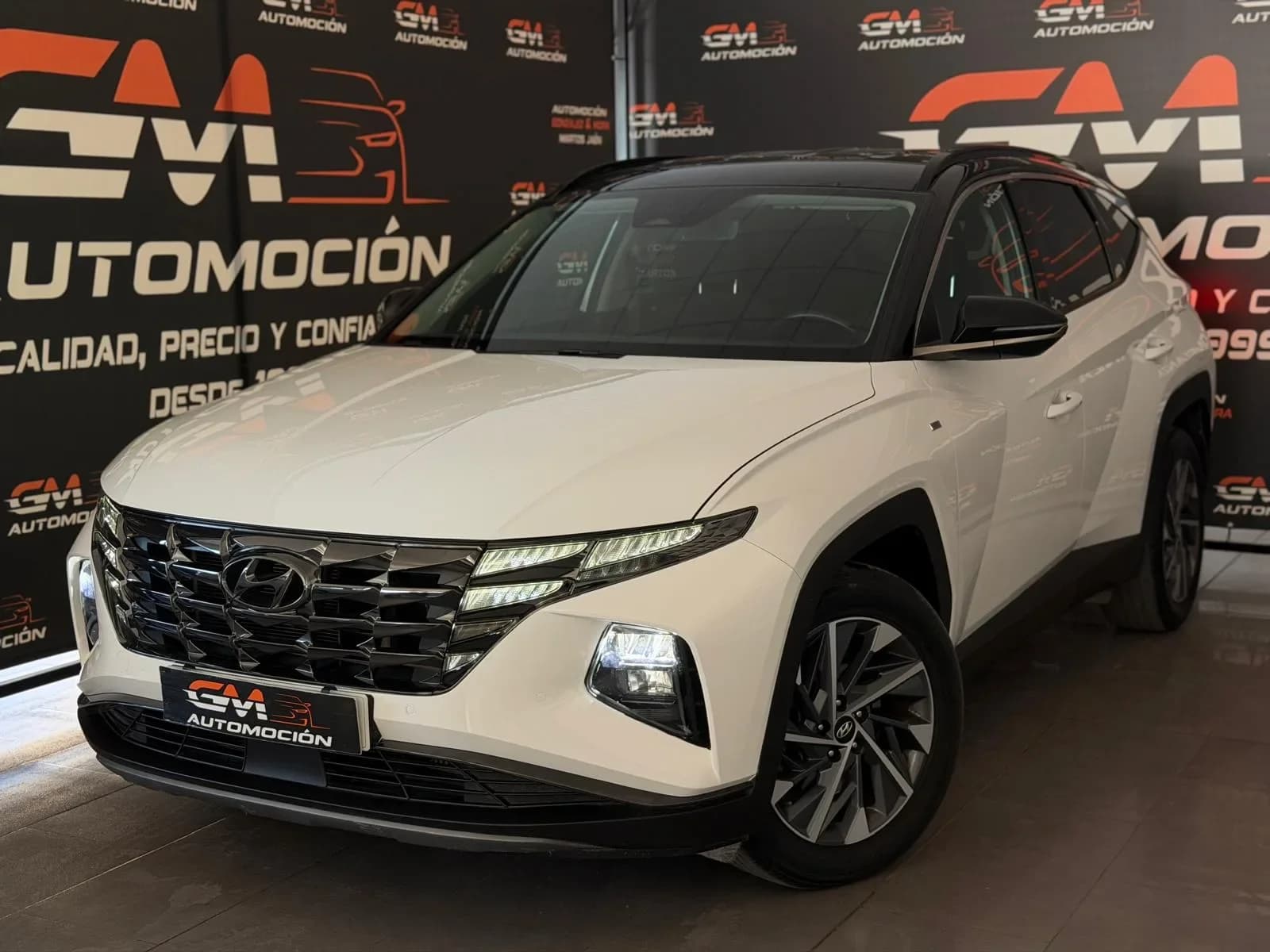 Hyundai Tucson 1.6crdi 48V Tecno — foto 1 de 24